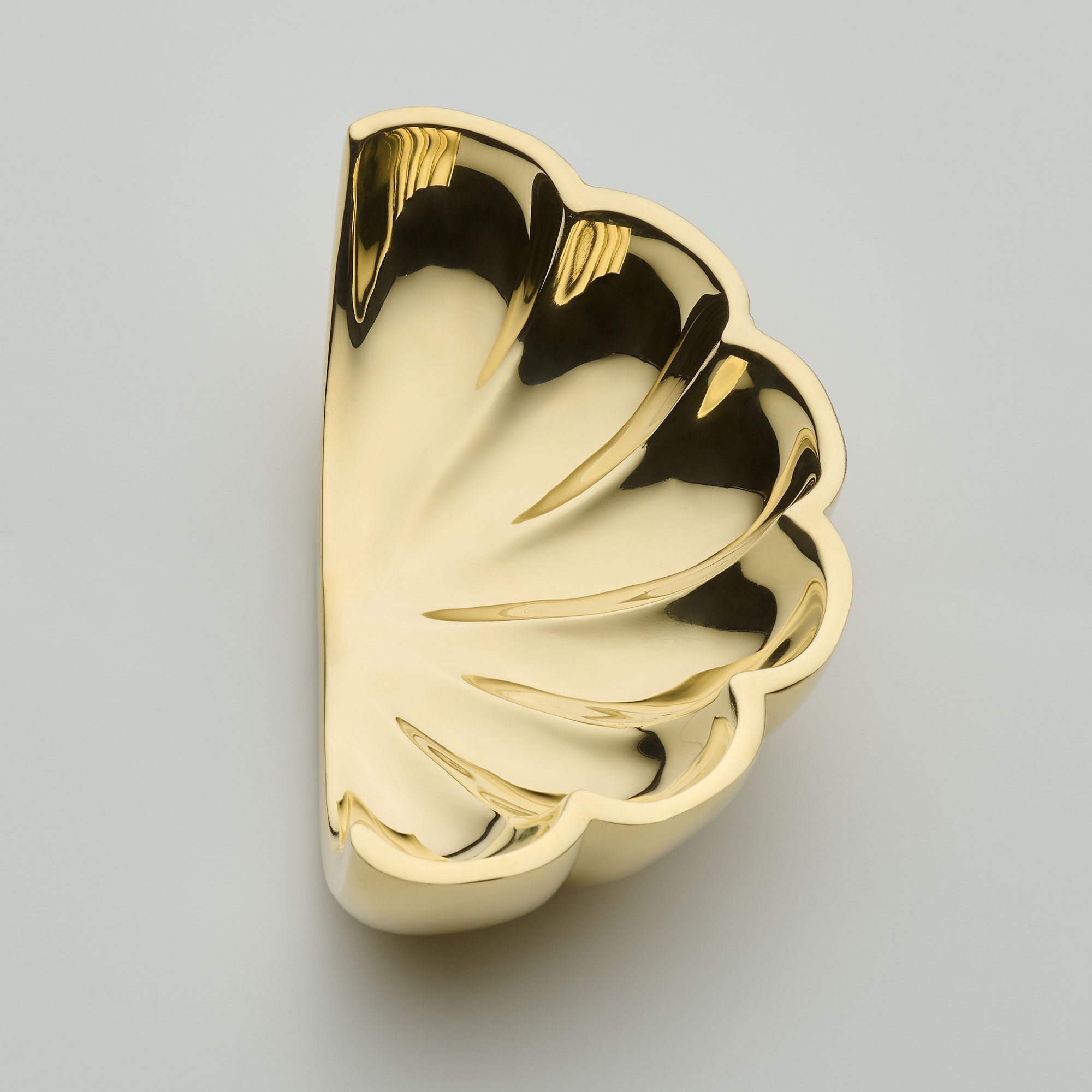 Polished Brass Unlacquered