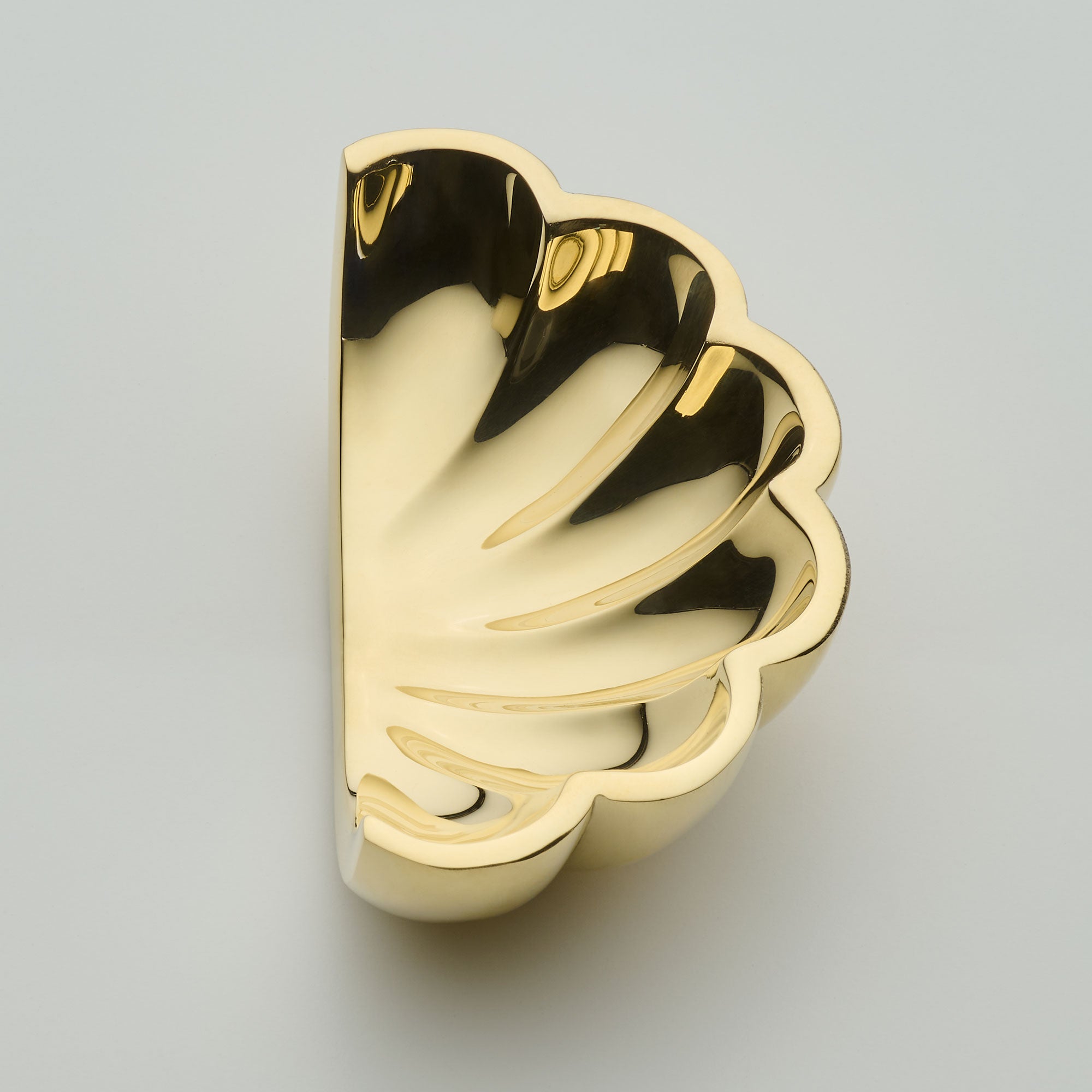 Polished Brass Unlacquered