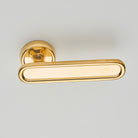 Polished Brass Unlacquered