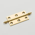 Polished Brass Unlacquered