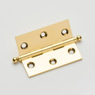 Polished Brass Unlacquered